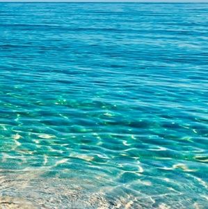 Meet your Posher, Lazaro